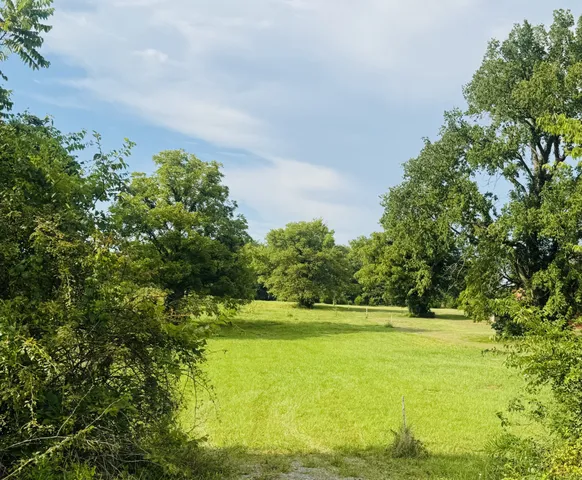 a view of a field with an trees in the background