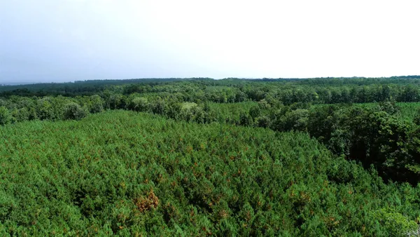 $346,450 | 0 Old Edgefield Road, Saluda, SC 29138