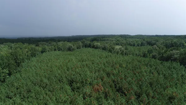 $346,450 | 0 Old Edgefield Road, Saluda, SC 29138