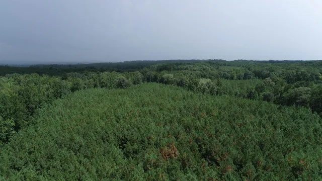 $439,500 | 0 Old Edgefield Road, Saluda, SC 29138