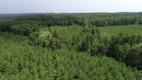 $346,450 | 0 Old Edgefield Road, Saluda, SC 29138