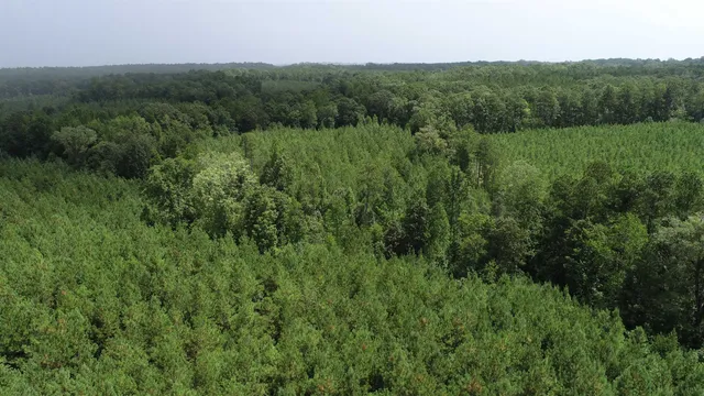 $439,500 | 0 Old Edgefield Road, Saluda, SC 29138