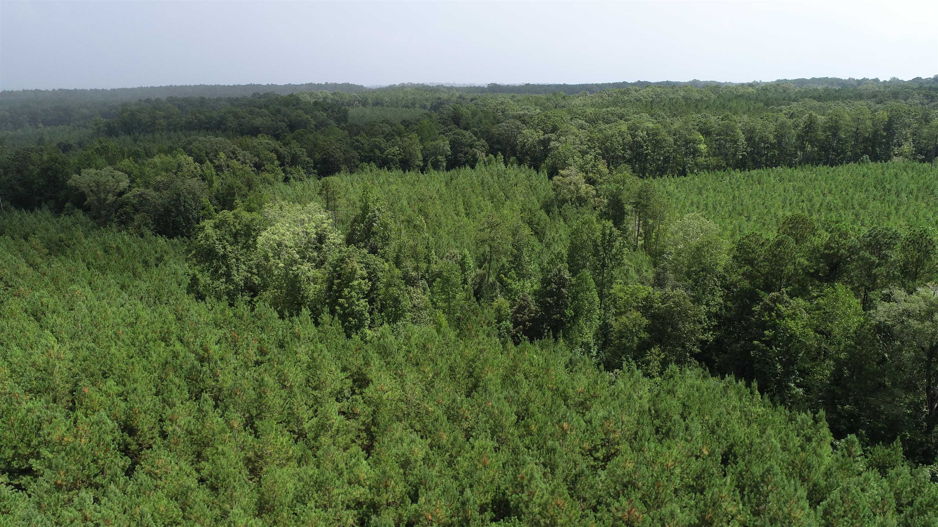 0 Old Edgefield Road Saluda, SC 29138 - Photo 3 of 9