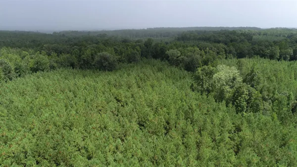 $346,450 | 0 Old Edgefield Road, Saluda, SC 29138