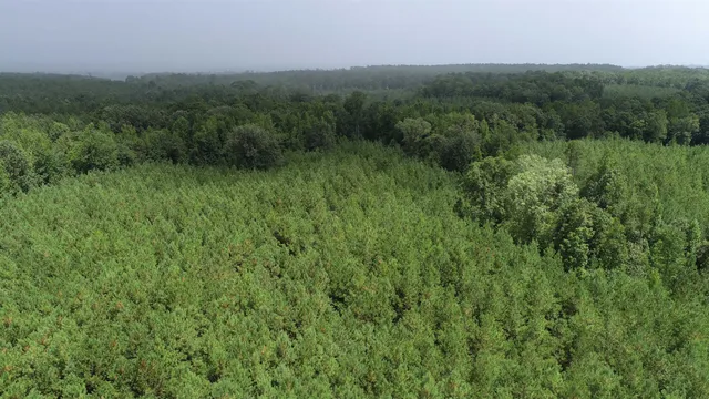 $439,500 | 0 Old Edgefield Road, Saluda, SC 29138