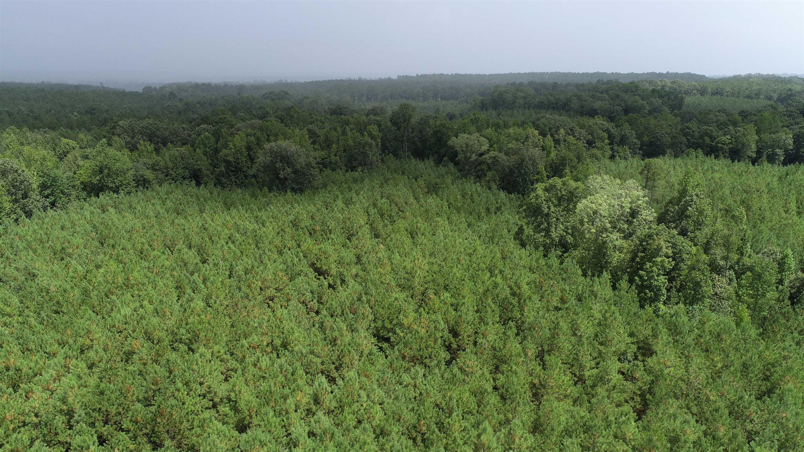 0 Old Edgefield Road Saluda, SC 29138 - Photo 4 of 9