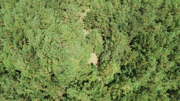 $346,450 | 0 Old Edgefield Road, Saluda, SC 29138