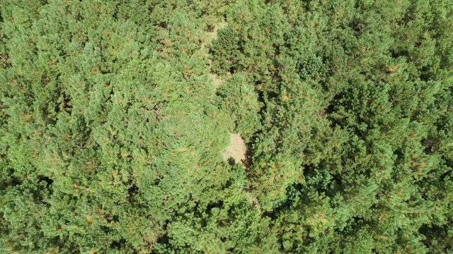 $439,500 | 0 Old Edgefield Road, Saluda, SC 29138