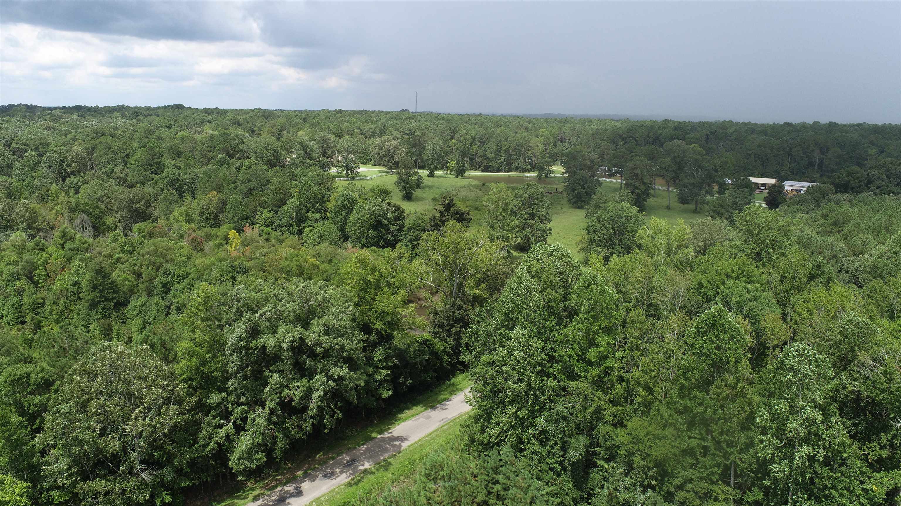 0 Old Edgefield Road Saluda, SC 29138 - Photo 6 of 9