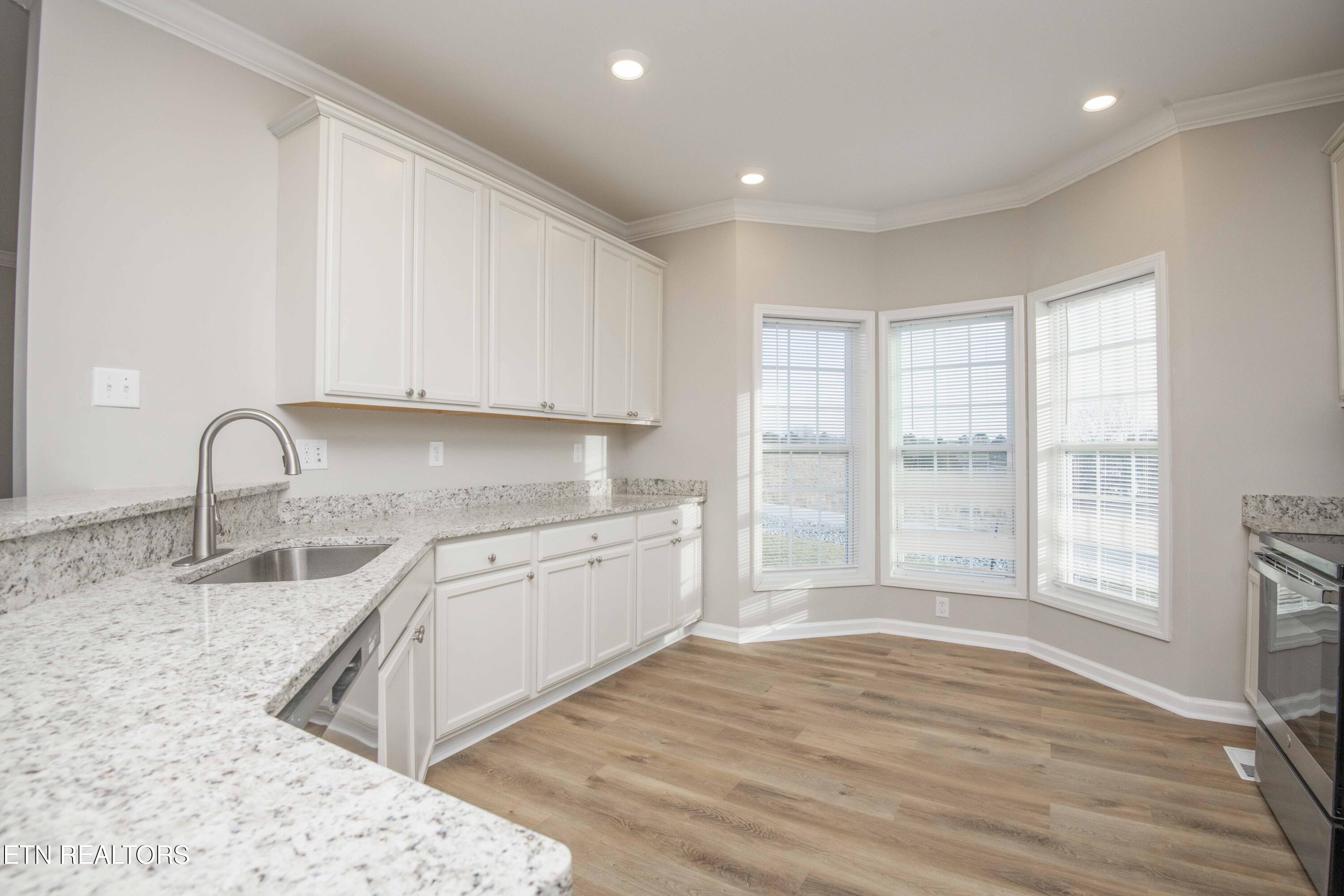 155 Waters Edge Drive Spring City, TN 37381 - Photo 16 of 60 kitchen 6_1
