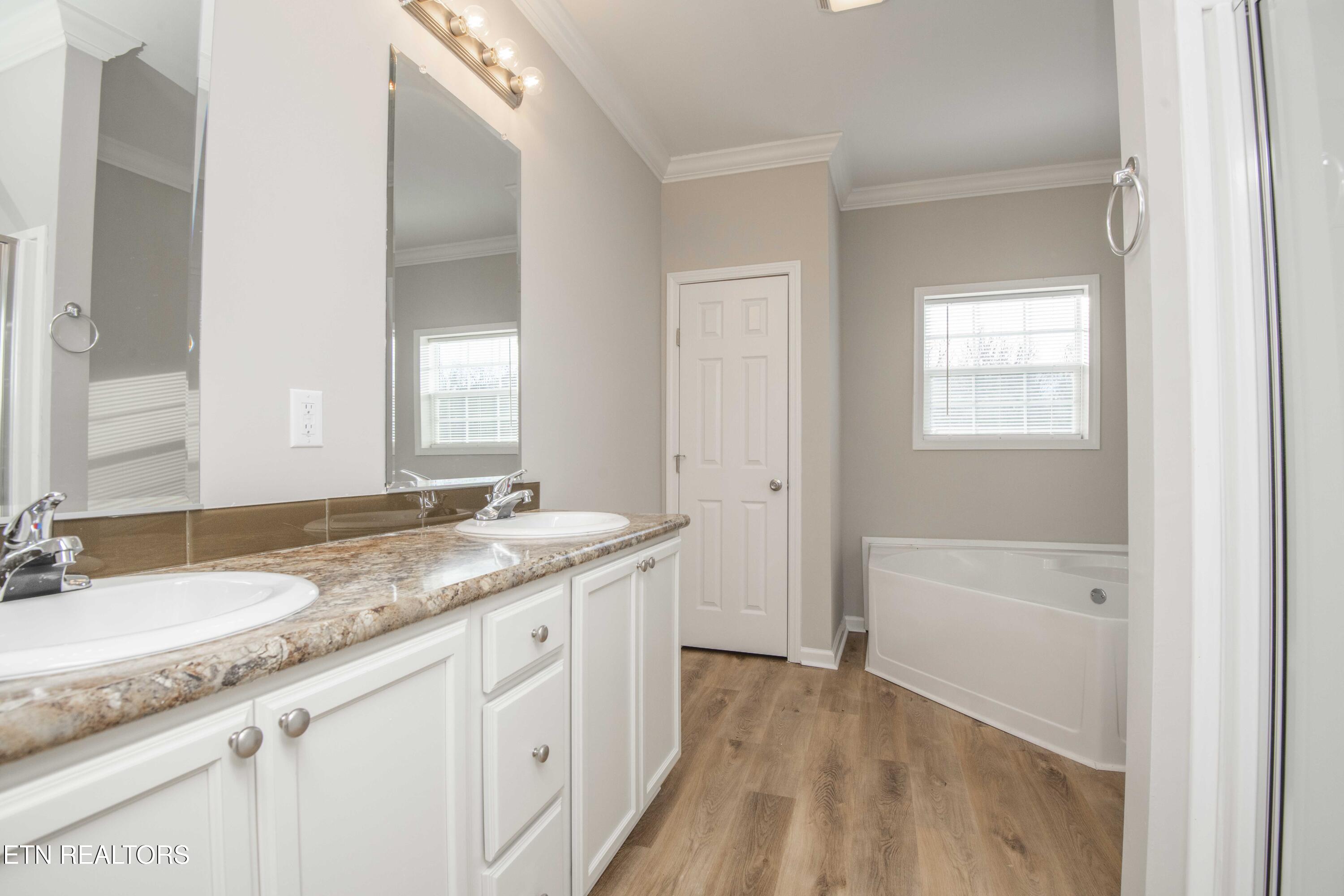 155 Waters Edge Drive Spring City, TN 37381 - Photo 27 of 60 master bath 2_1