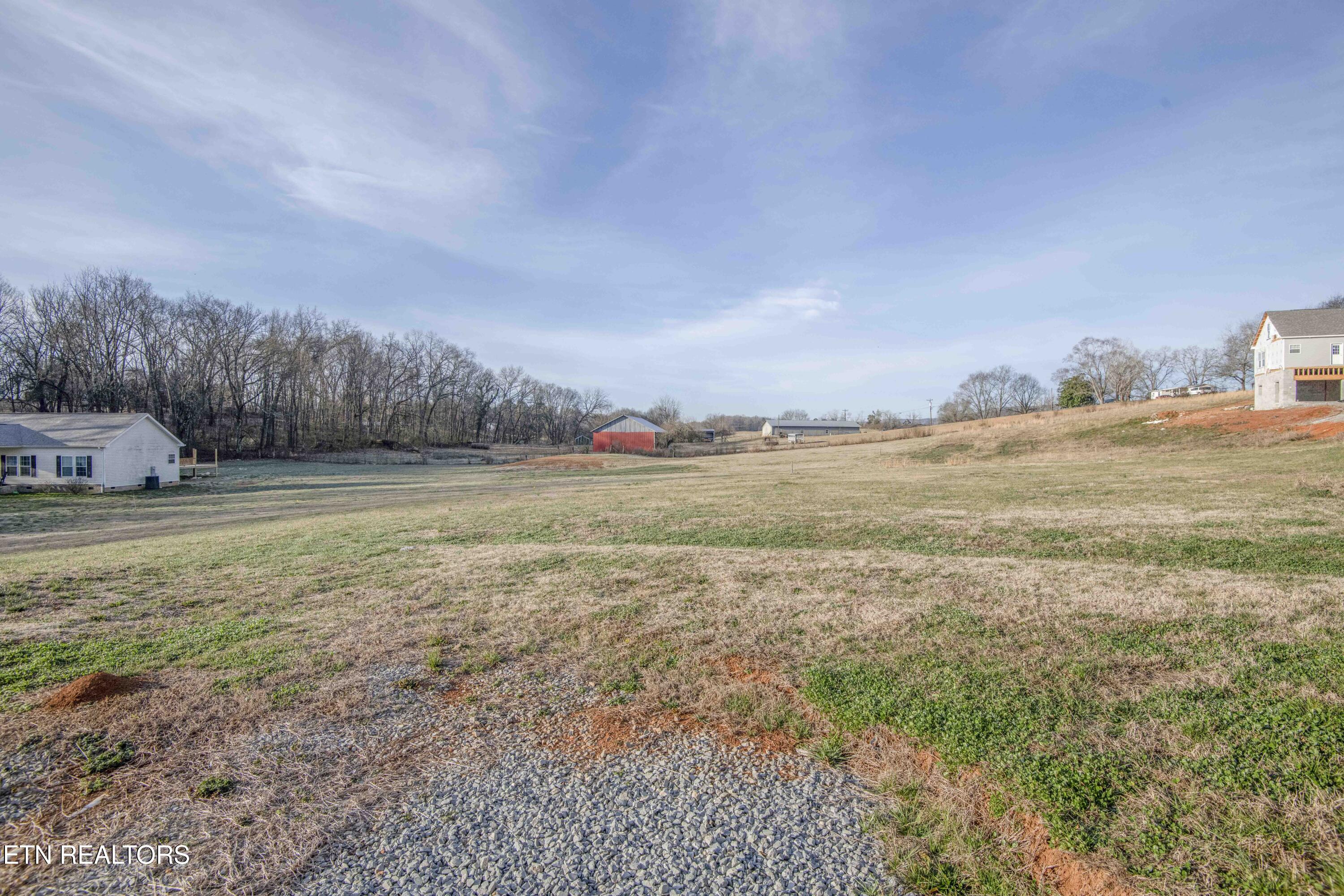 155 Waters Edge Drive Spring City, TN 37381 - Photo 47 of 60 yard 5_1