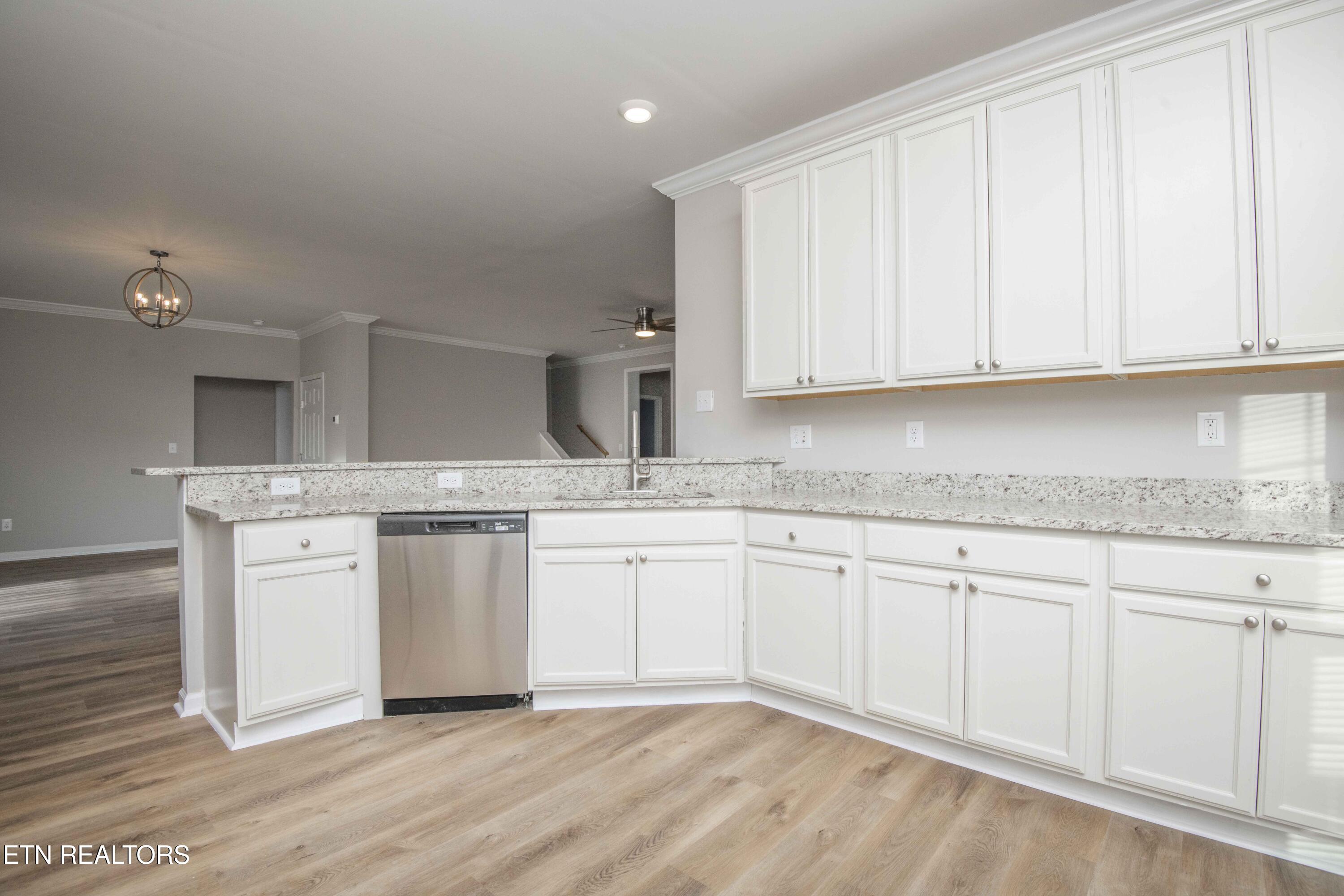 155 Waters Edge Drive Spring City, TN 37381 - Photo 9 of 60 kitchen 2_1