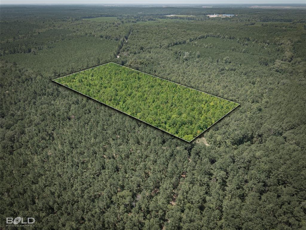 0 Abe Martin Road Plain Dealing, LA 71064 - Photo 3 of 4 Gallery Image 3