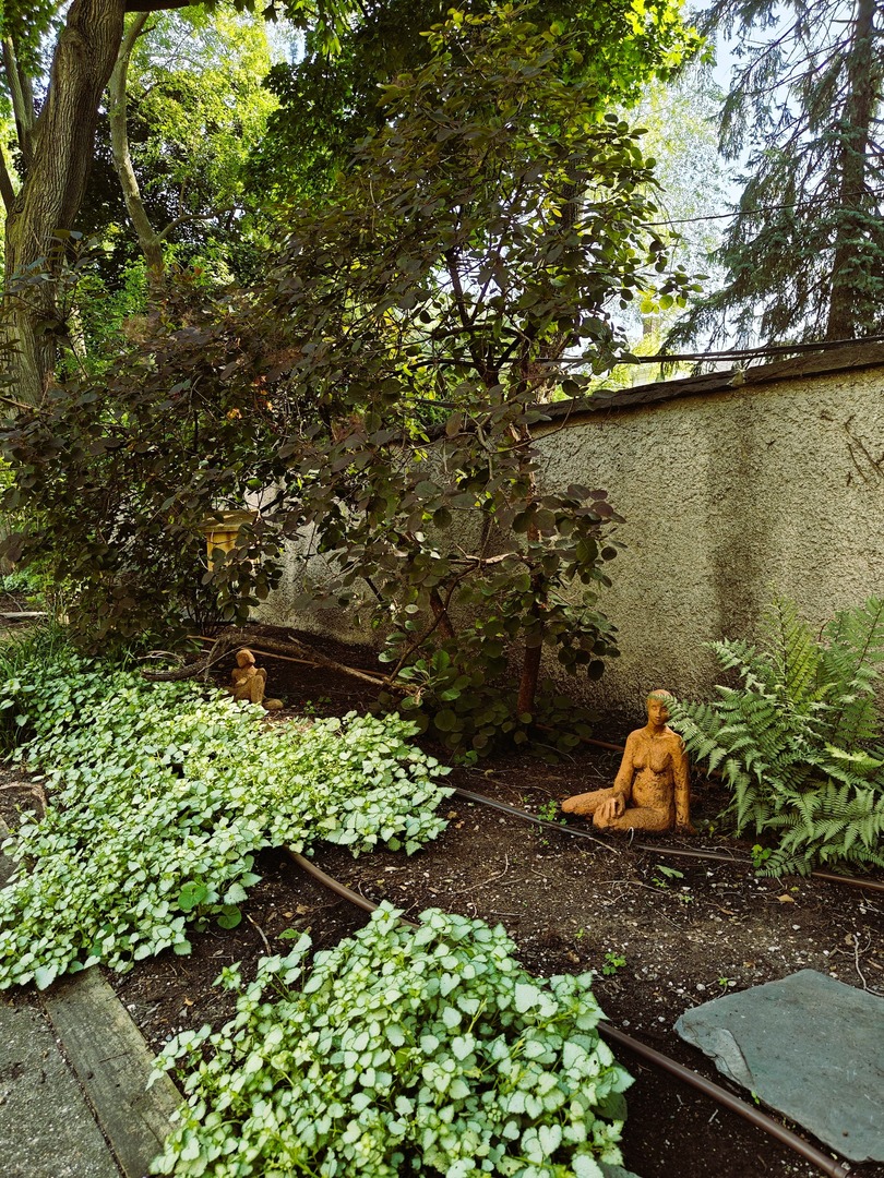 734 Noyes Street, Unit O2 Evanston, IL 60201 - Photo 5 of 6