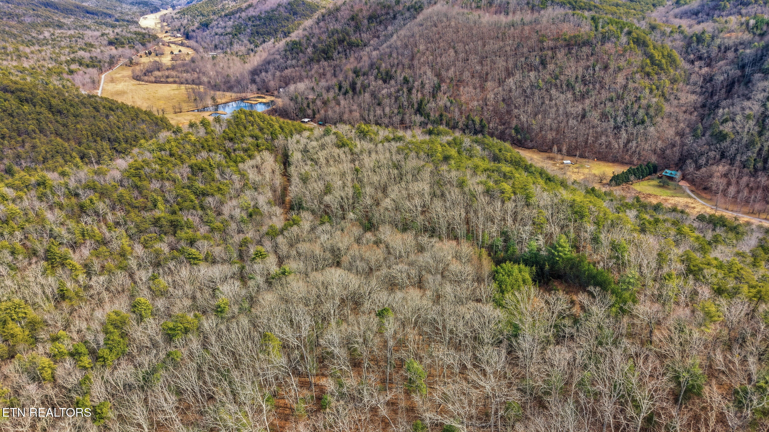 Creek Road Tellico Plains, TN 37385 - Photo 3 of 9 004_XLyC