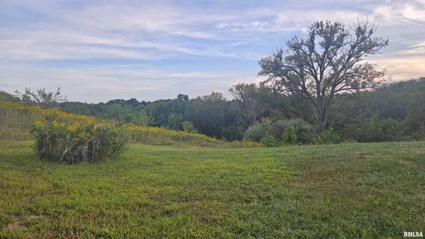 $449,000 | 1915 Highway 67, Meredosia, IL 62665
