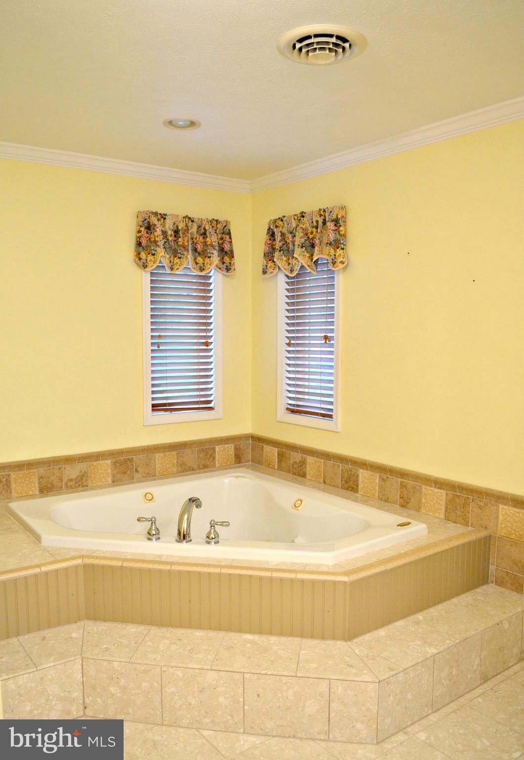 1922 Highland Ridge Road Berkeley Springs, WV 25411 - Photo 19 of 30 Bath (Master)
