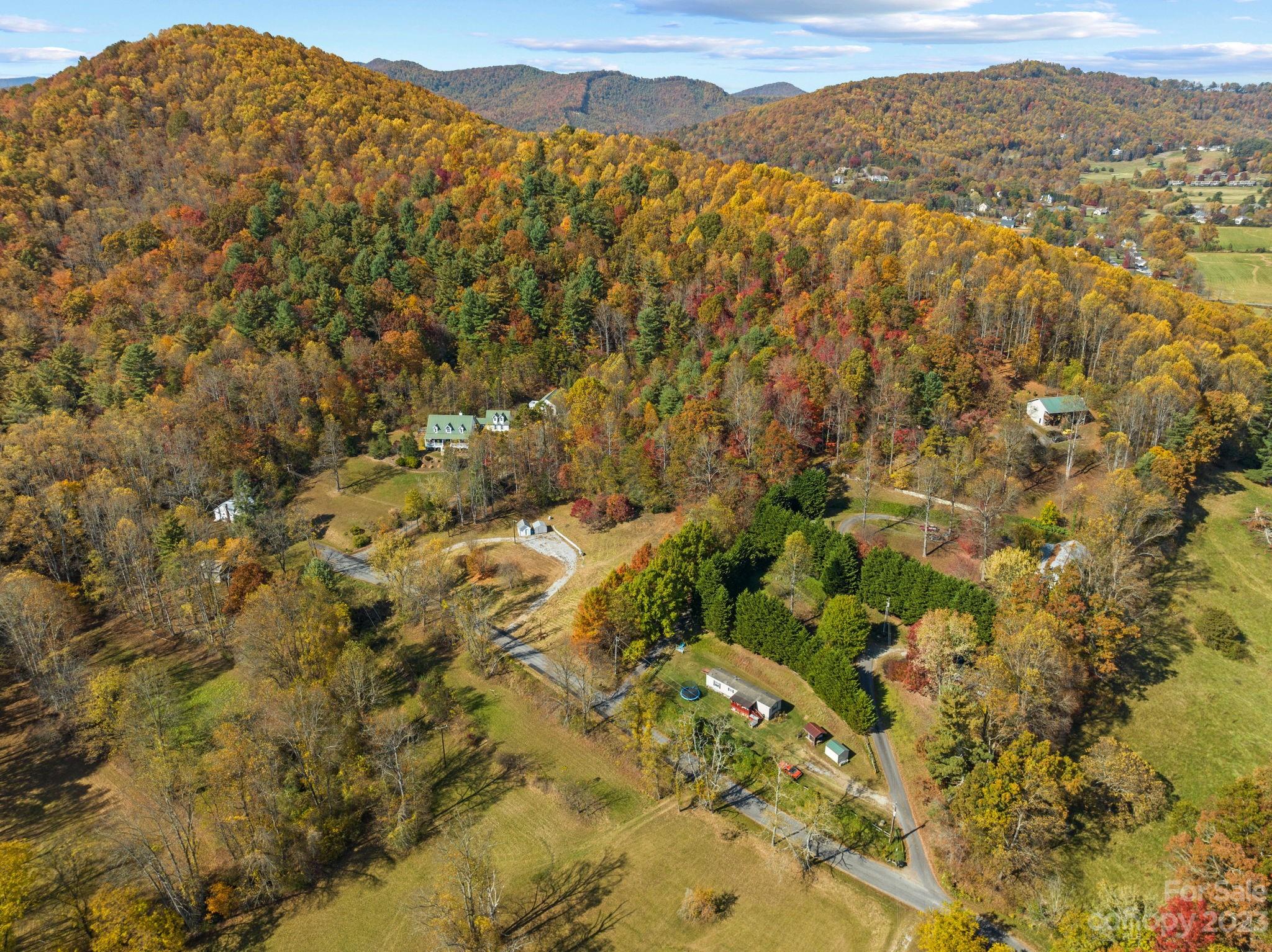 672 Mt Gilead Church Road Mills River, NC 28759 - Photo 17 of 29