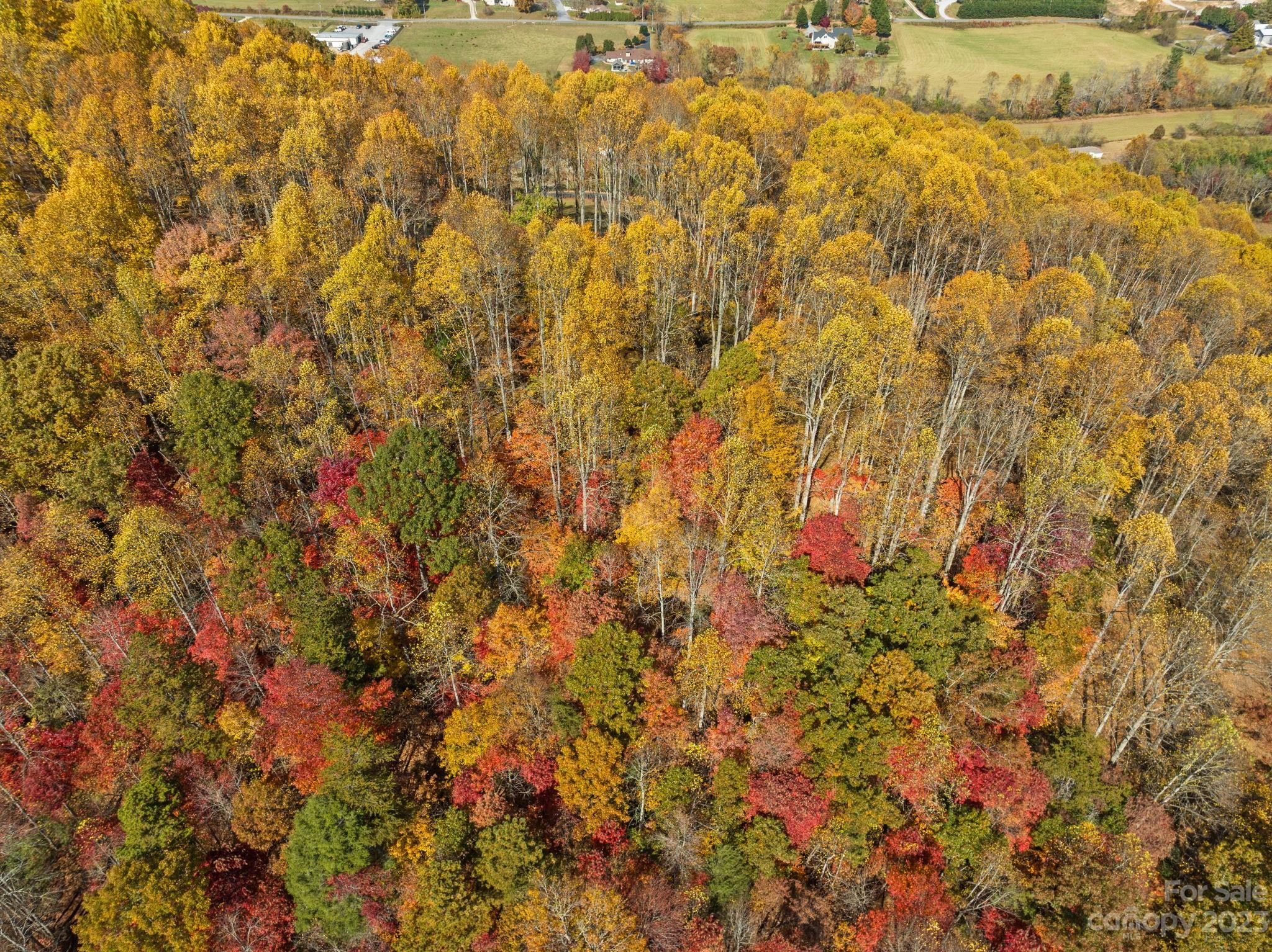 672 Mt Gilead Church Road Mills River, NC 28759 - Photo 20 of 29 a view of a yard