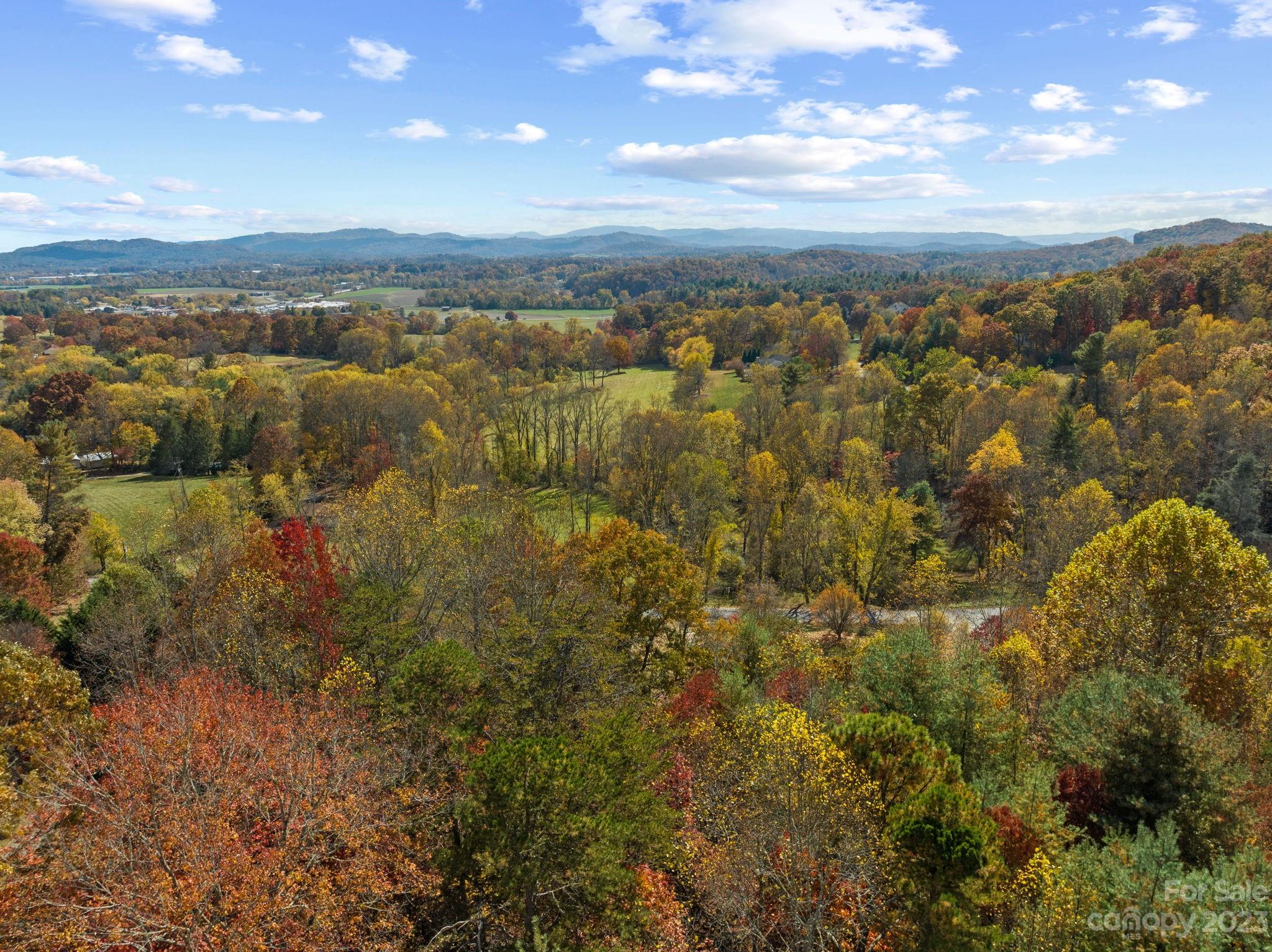 672 Mt Gilead Church Road Mills River, NC 28759 - Photo 21 of 29 a view of city and mountain