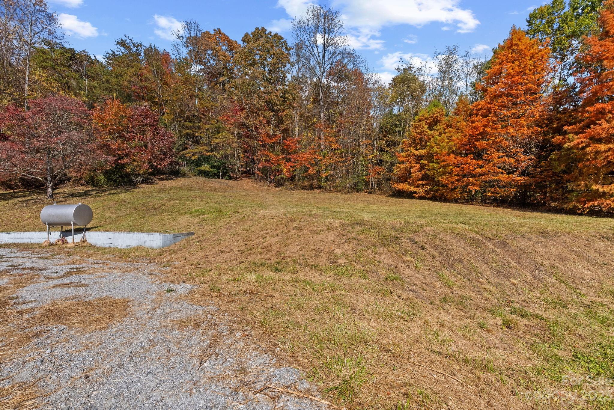 672 Mt Gilead Church Road Mills River, NC 28759 - Photo 24 of 29 a view of a yard with a tree