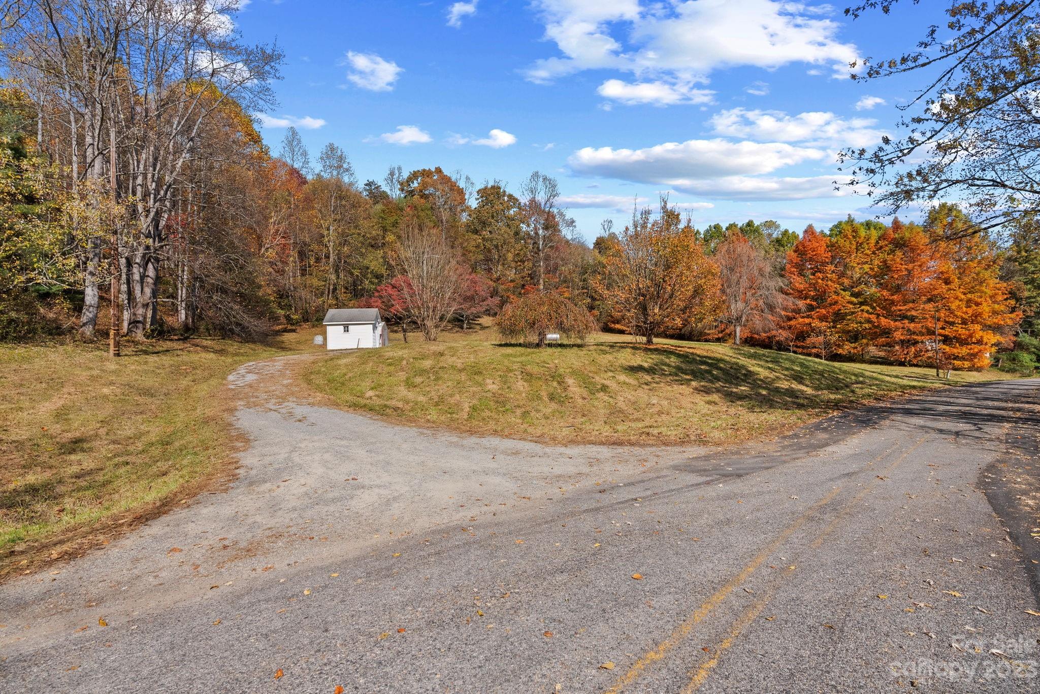 672 Mt Gilead Church Road Mills River, NC 28759 - Photo 29 of 29 a view of a yard with a tree