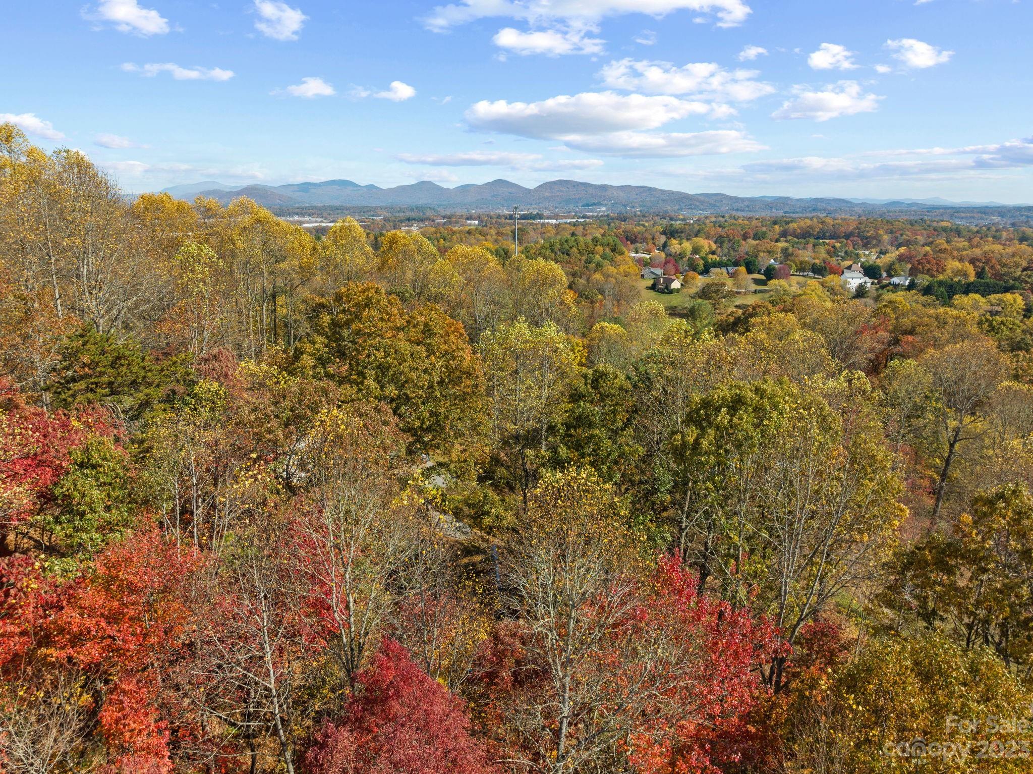 672 Mt Gilead Church Road Mills River, NC 28759 - Photo 5 of 29 a view of mountain