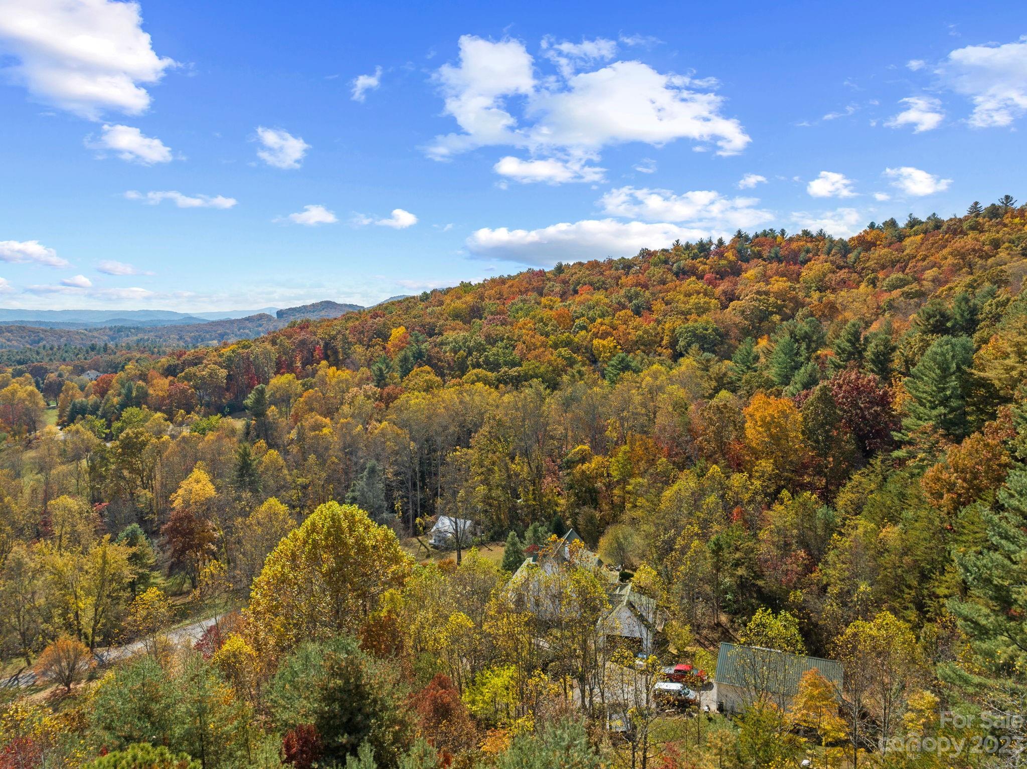 672 Mt Gilead Church Road Mills River, NC 28759 - Photo 7 of 29 a view of a city