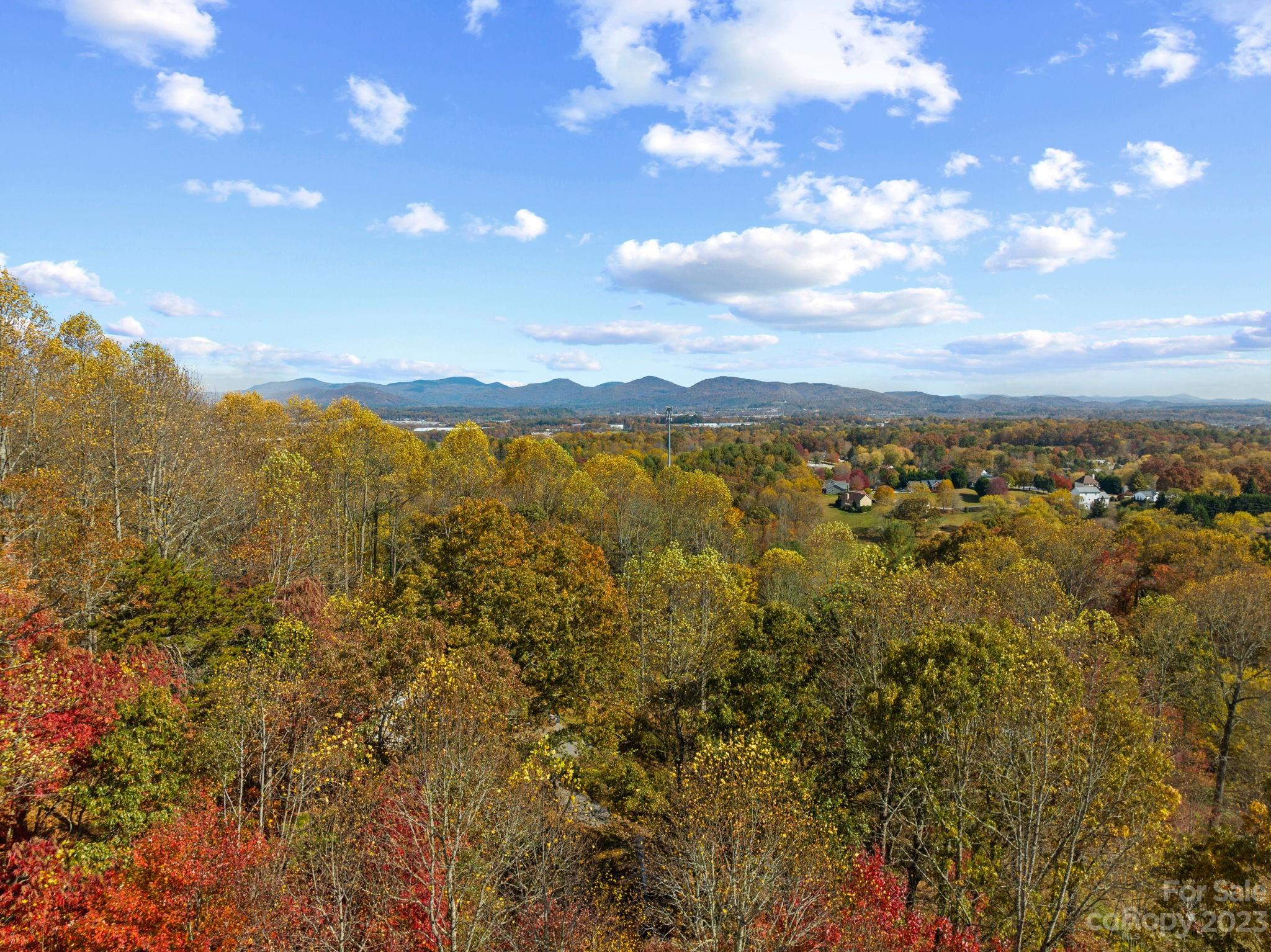 672 Mt Gilead Church Road Mills River, NC 28759 - Photo 9 of 29 a view of lake and mountain
