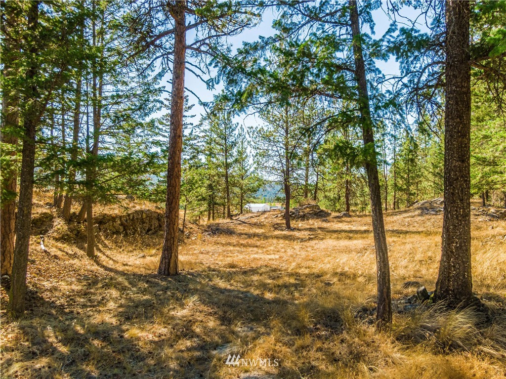 39 Cape Labelle Road Tonasket, WA 98855 - Photo 33 of 39 a view of a yard with trees