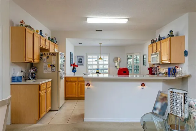 $2,000 | 10709 Collar Drive, San Antonio, FL 33576