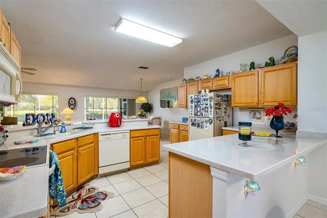 $2,000 | 10709 Collar Drive, San Antonio, FL 33576