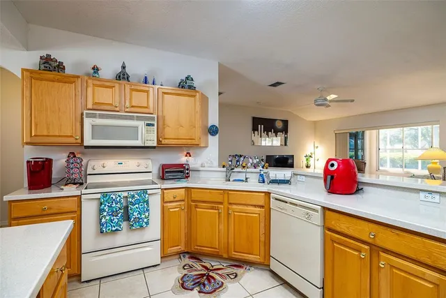 $2,000 | 10709 Collar Drive, San Antonio, FL 33576