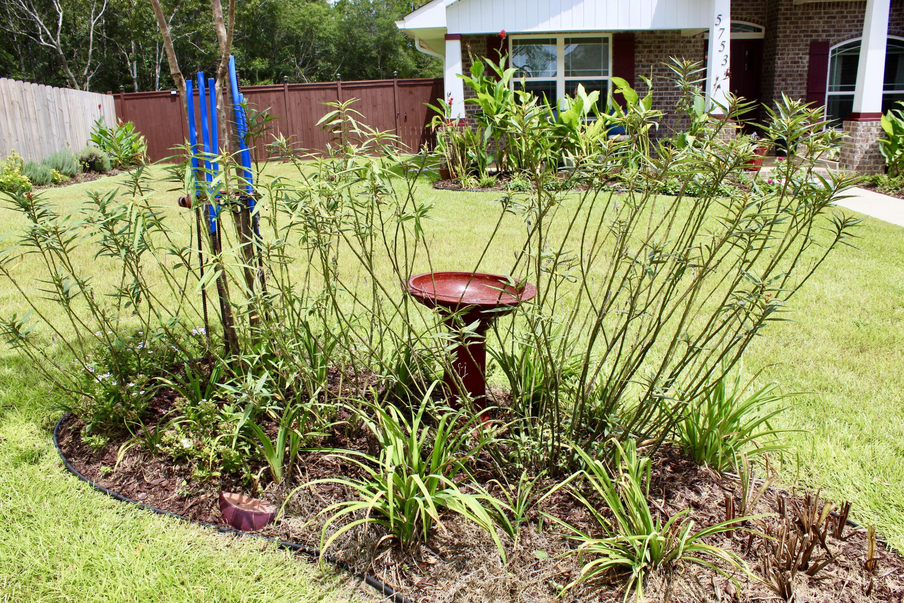 5753 Marigold Loop Crestview, FL 32539 - Photo 5 of 51 a view of a flower in a garden