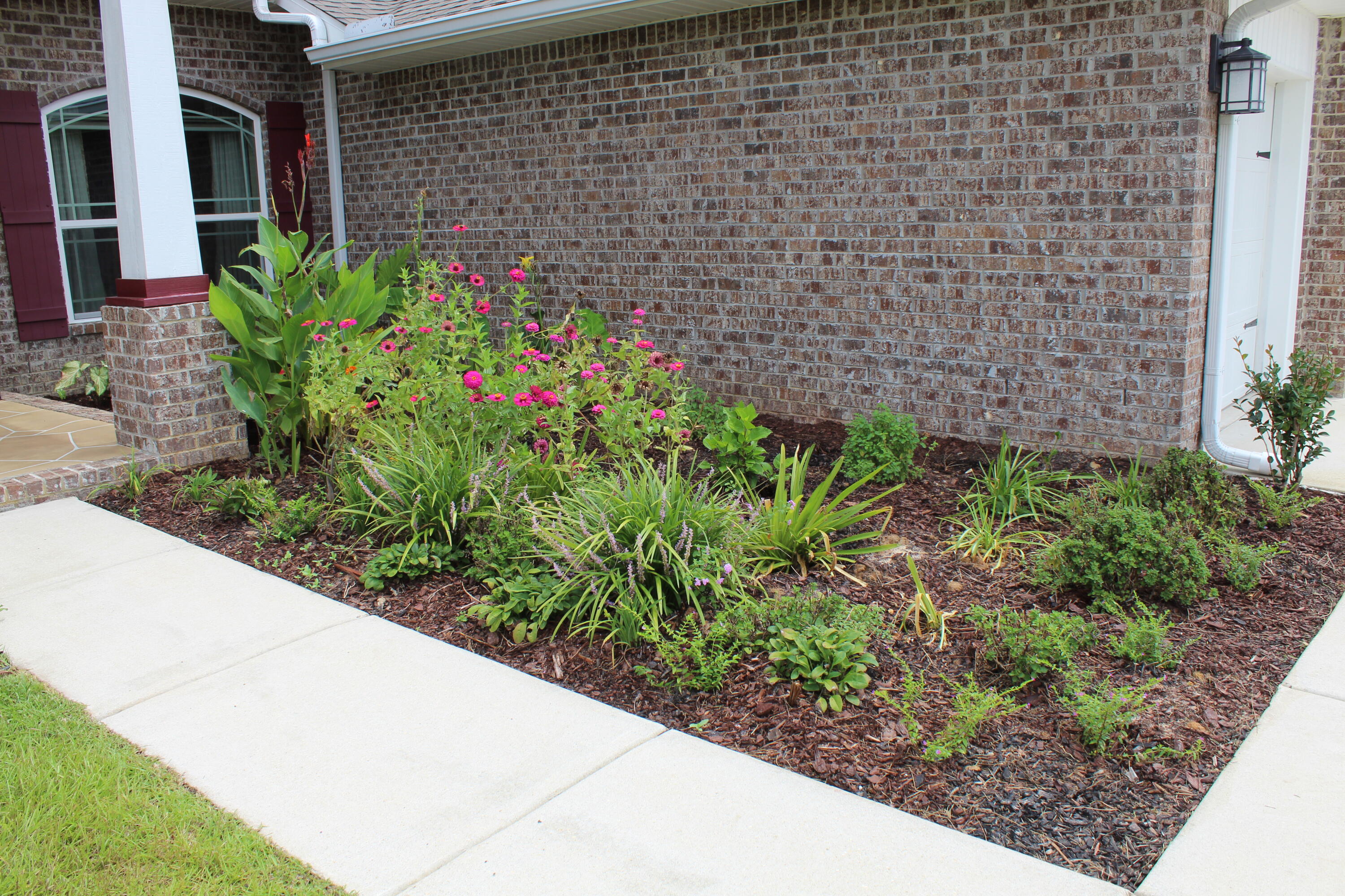 5753 Marigold Loop Crestview, FL 32539 - Photo 8 of 51 a plant that is in front of a house