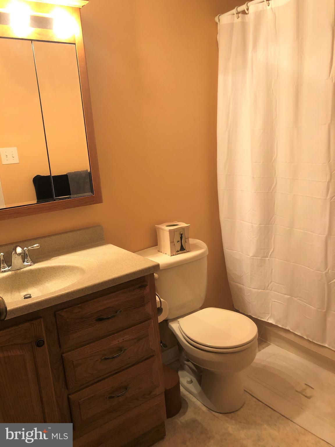 72 Hook Road Westminster, MD 21157 - Photo 6 of 12 Master Bath
