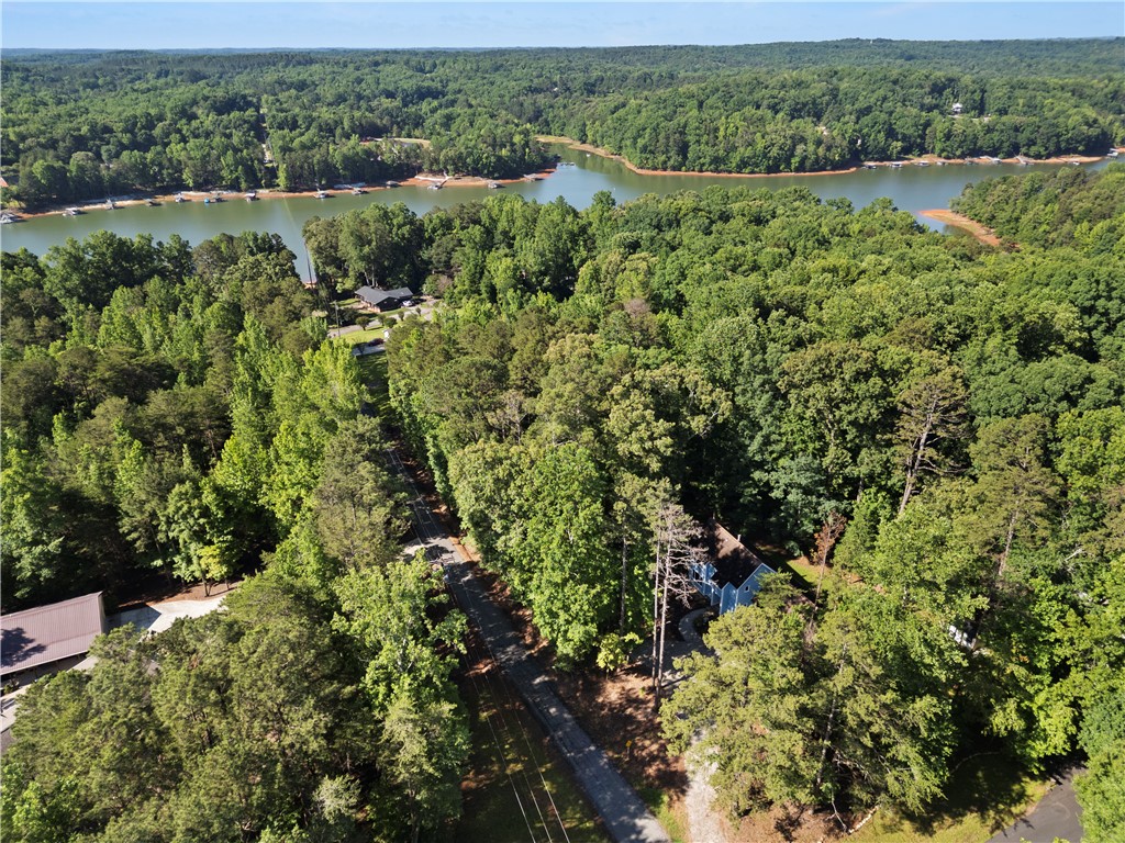 1298 Carradine Road Seneca, SC 29678 - Photo 41 of 43 A private forested retreat.