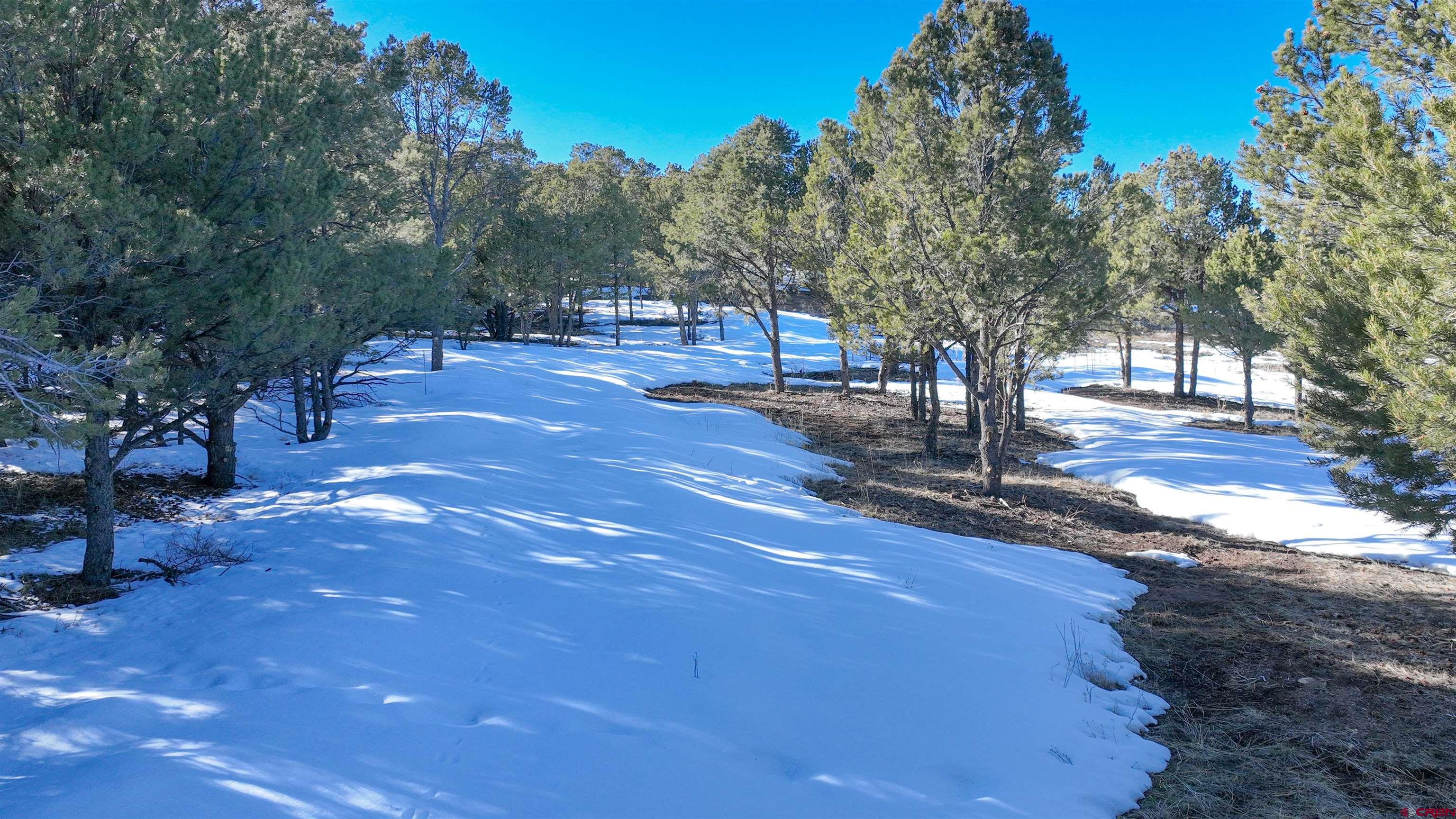 Lot 3 Turkey Trail Ridgway, CO 81432 - Photo 24 of 27 Gallery Image 24