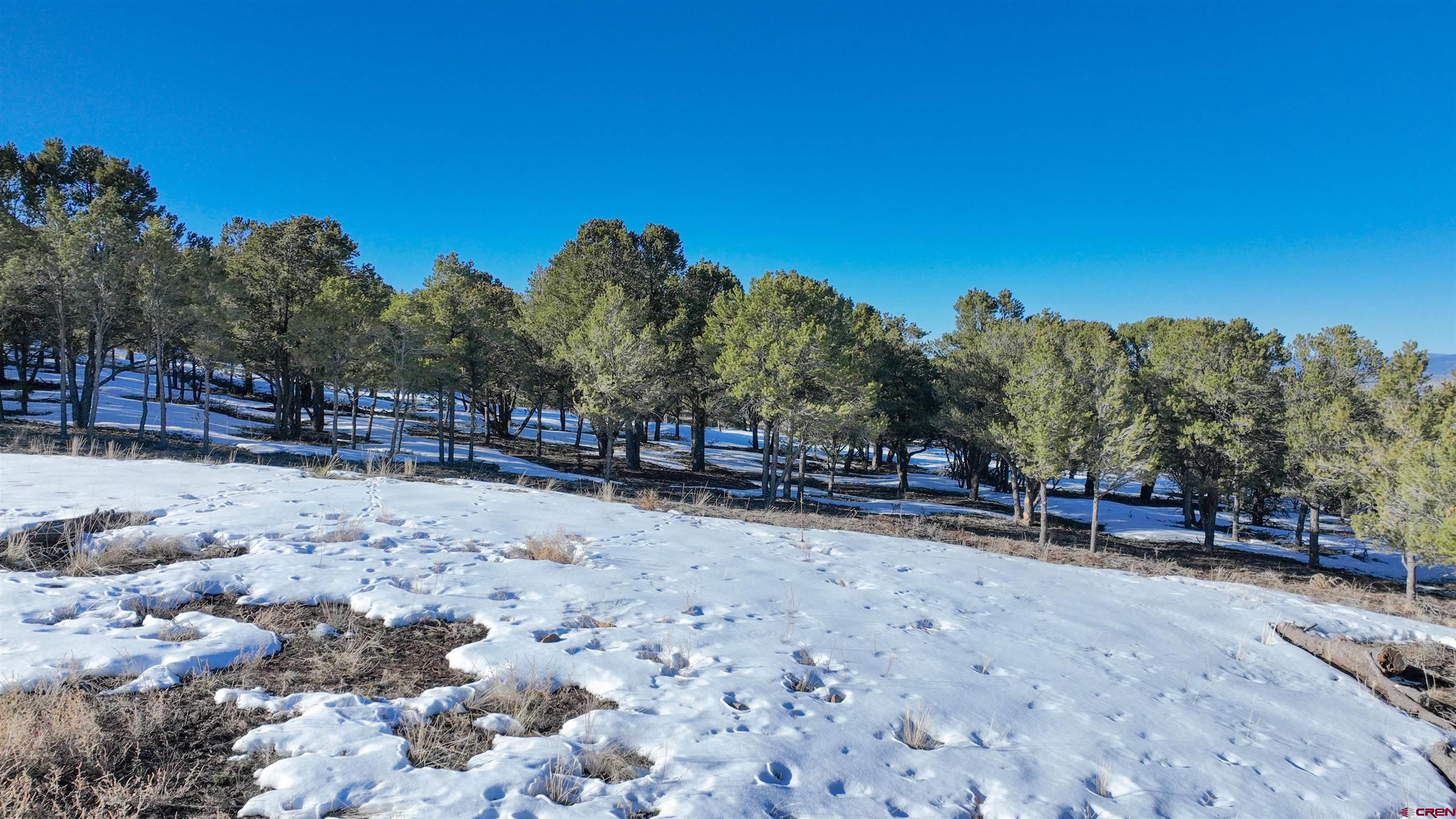 Lot 3 Turkey Trail Ridgway, CO 81432 - Photo 27 of 27 Gallery Image 27