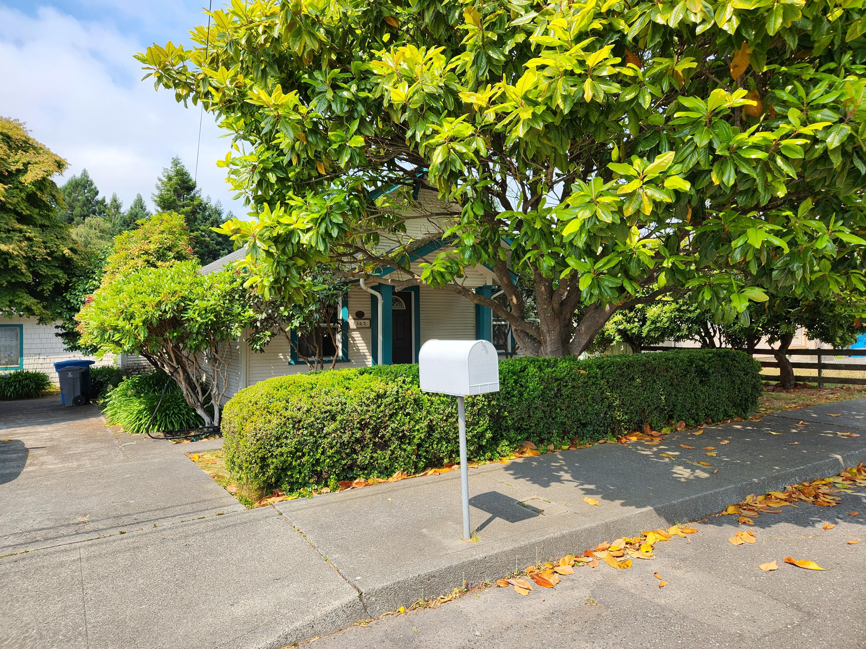 2163 Fern Street Cutten, CA 95503 - Photo 1 of 23 a wooden bench sitting in middle of a yard