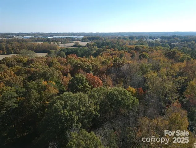 an aerial view of forest