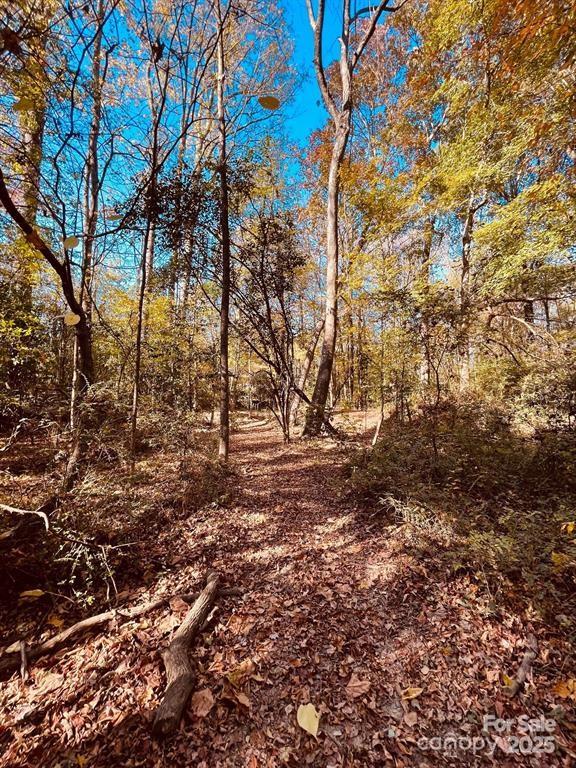 0 Smyrna Church Road Pageland, SC 29728 - Photo 4 of 4
