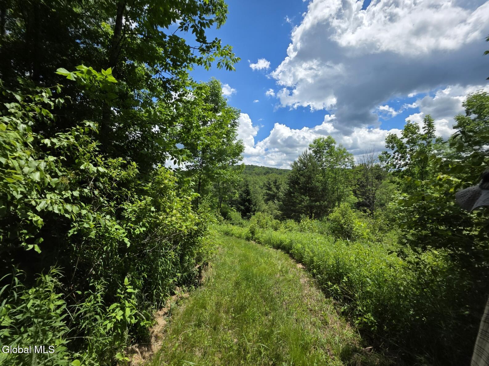 419 Halbert Hill Road Butternuts, NY 13843 - Photo 35 of 48 20260617_123256