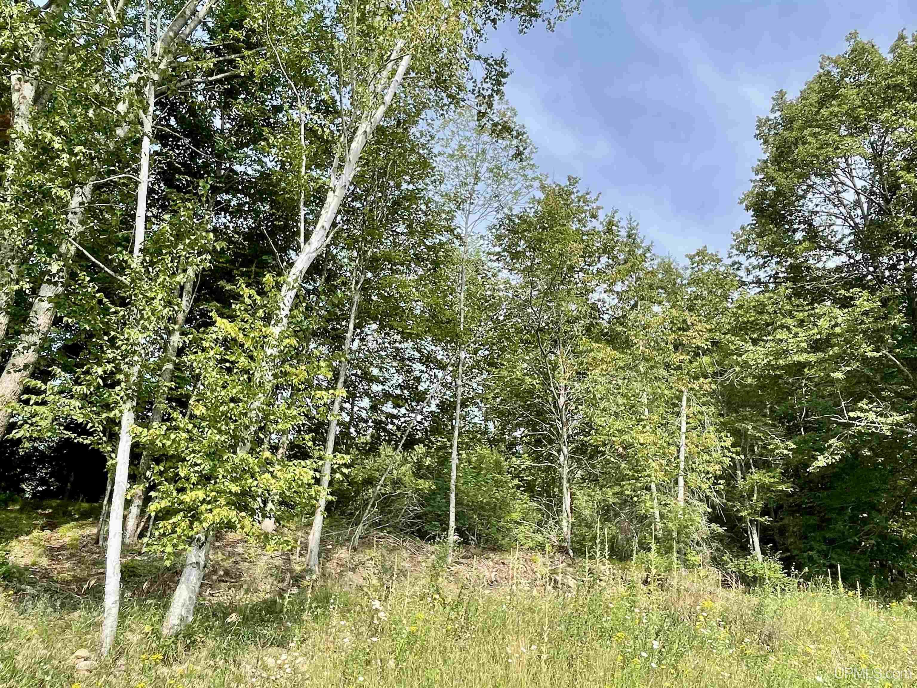 400 Rd Spalding Mi 49886 Road Powers, MI 49874 - Photo 24 of 24 Gallery Image 24