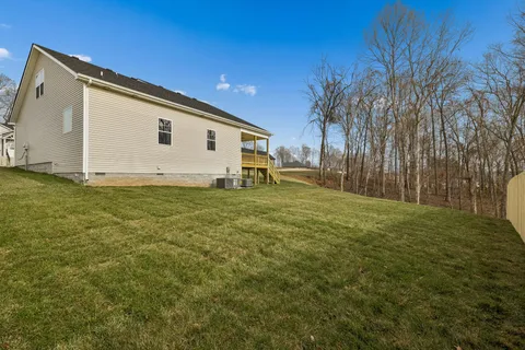 a view of a backyard with large trees