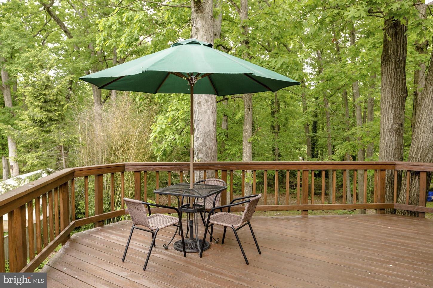 6115 Roxbury Avenue Springfield, VA 22152 - Photo 5 of 24 Deck overlooking back yard