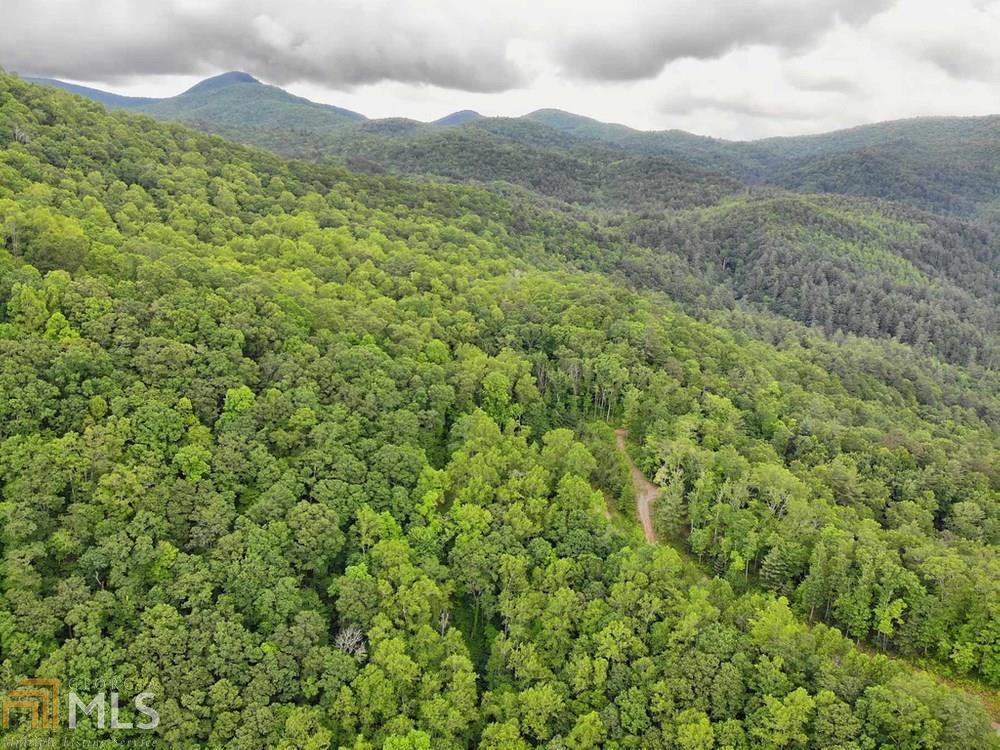 0 Deep Woods, Unit LOT 9 Dillard, GA 30537 - Photo 11 of 14