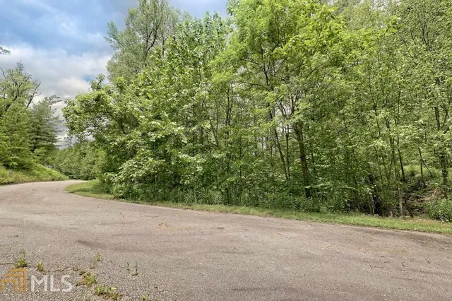 $45,000 | 0 Deep Woods, Unit LOT 9, Dillard, GA 30537