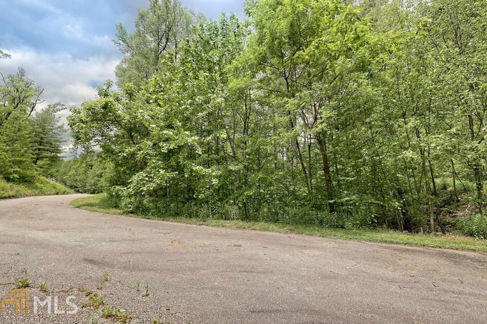 0 Deep Woods, Unit LOT 9 Dillard, GA 30537 - Photo 13 of 14